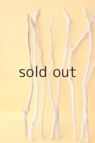 画像4: 小枝流木セット (4)