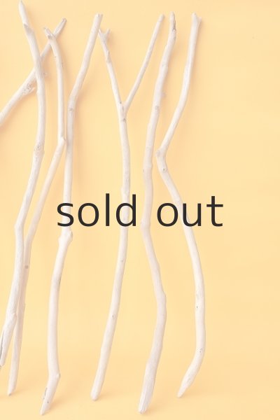 画像6: 小枝流木セット (6)