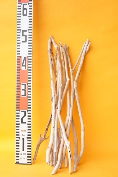 画像3: 小枝流木セット