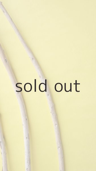 画像4: 棒流木3本セット (4)