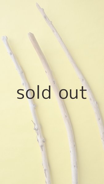 画像3: 棒流木3本セット (3)