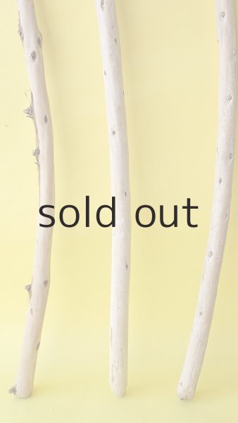 画像2: 棒流木3本セット (2)