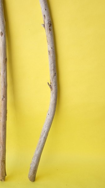 画像3: 棒流木3本セット (3)