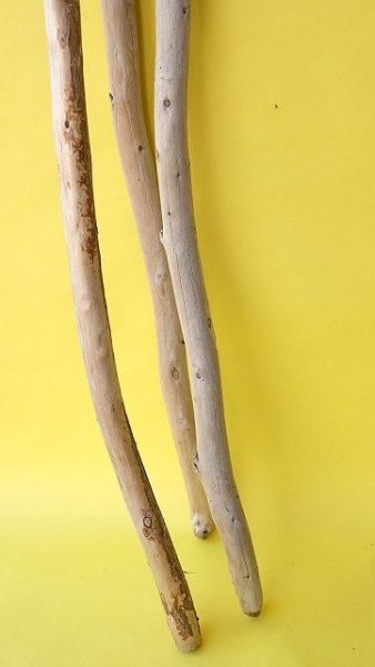 画像5: 棒流木3本セット (5)