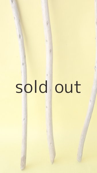 画像2: 棒流木3本セット (2)