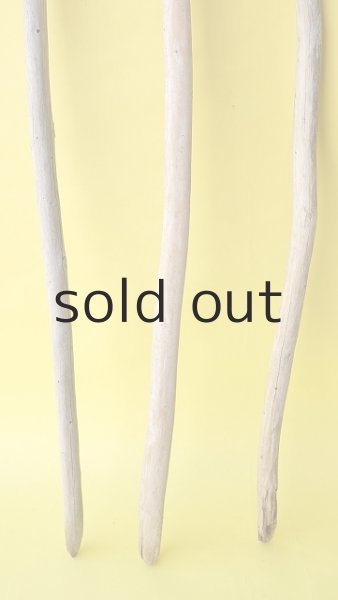 画像2: 棒流木3本セット (2)