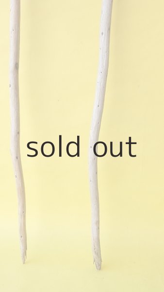 画像2: 棒流木3本セット (2)