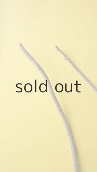 画像4: 棒流木3本セット (4)