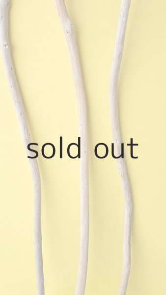 画像3: 棒流木3本セット (3)