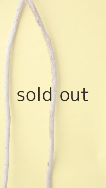 画像5: 棒流木3本セット (5)