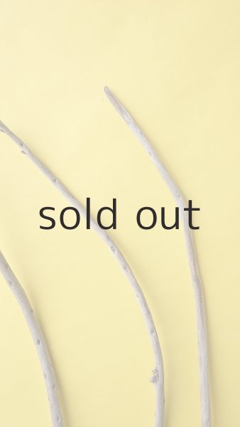 画像5: 棒流木3本セット (5)