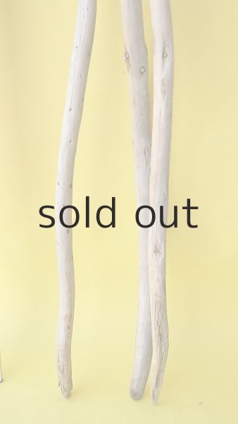 画像7: 棒流木3本セット (7)