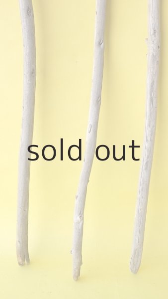 画像2: 棒流木3本セット (2)