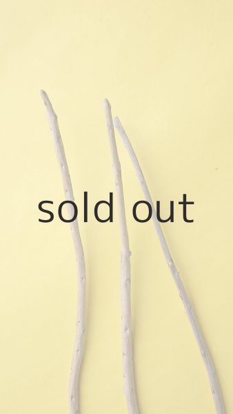 画像4: 棒流木3本セット (4)