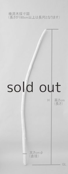 画像9: 棒流木3本セット (9)