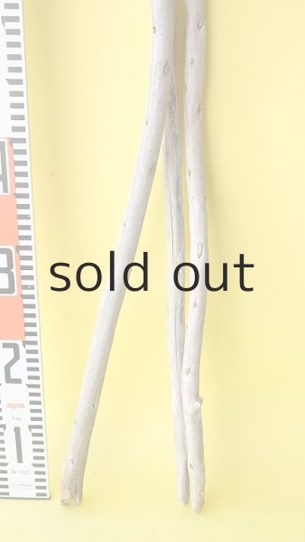 画像6: 棒流木3本セット (6)