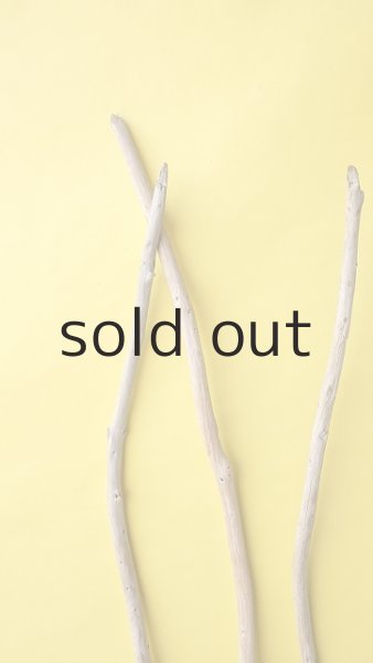 画像4: 棒流木3本セット (4)