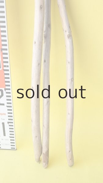 画像5: 棒流木3本セット (5)