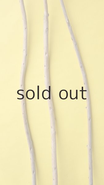 画像3: 棒流木3本セット (3)