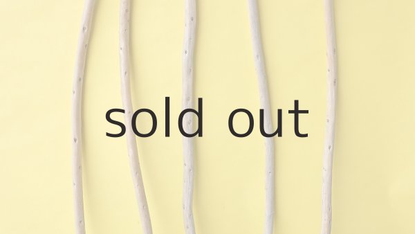 画像3: 棒流木5本セット (3)