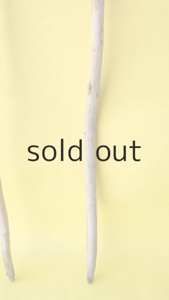 画像3: 棒流木3本セット (3)