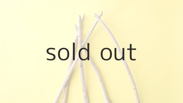 画像4: 棒流木5本セット (4)