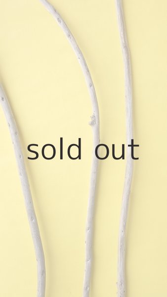 画像3: 棒流木3本セット (3)