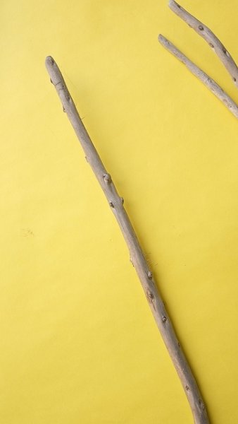 画像6: 棒流木3本セット (6)