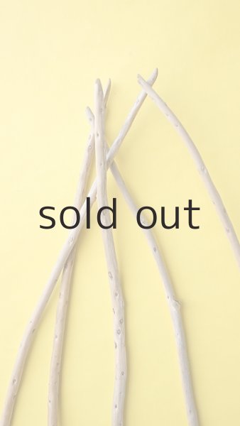 画像5: 棒流木5本セット (5)