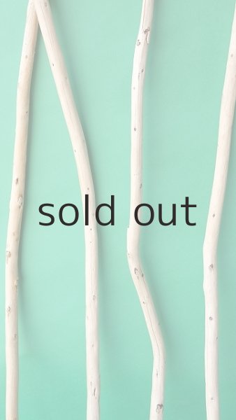 画像4: 棒流木セット (4)