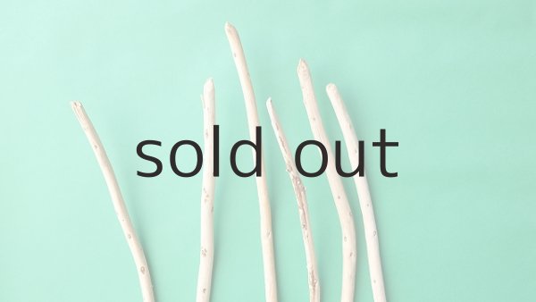 画像4: 棒流木セット (4)