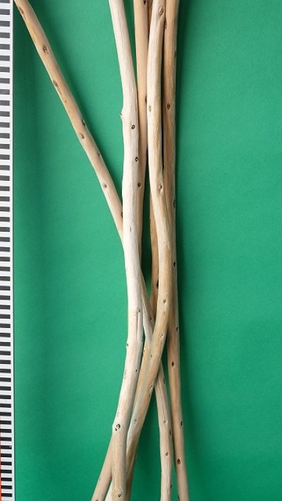 画像1: 棒流木セット