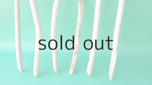 画像2: 棒流木セット (2)