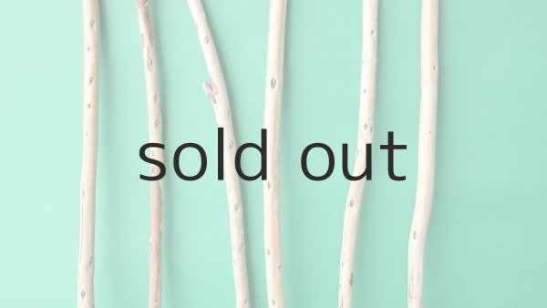 画像3: 棒流木セット (3)