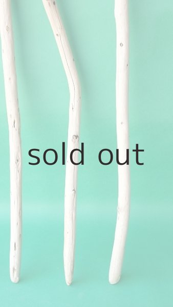 画像3: 棒流木セット (3)