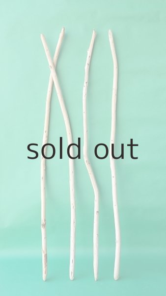 画像1: 棒流木セット (1)