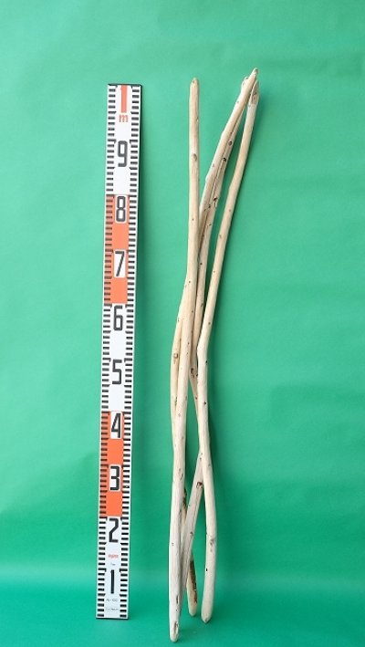 画像3: 棒流木セット