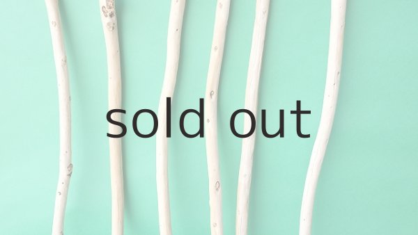 画像3: 棒流木セット (3)