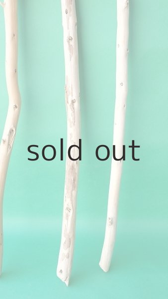 画像3: 棒流木セット (3)