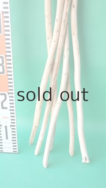 画像5: 棒流木セット (5)