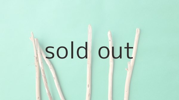 画像4: 棒流木セット (4)