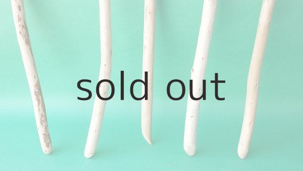 画像2: 棒流木セット (2)