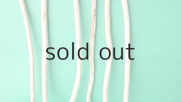 画像3: 棒流木セット (3)