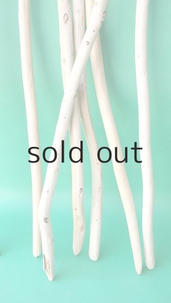 画像5: 棒流木セット (5)