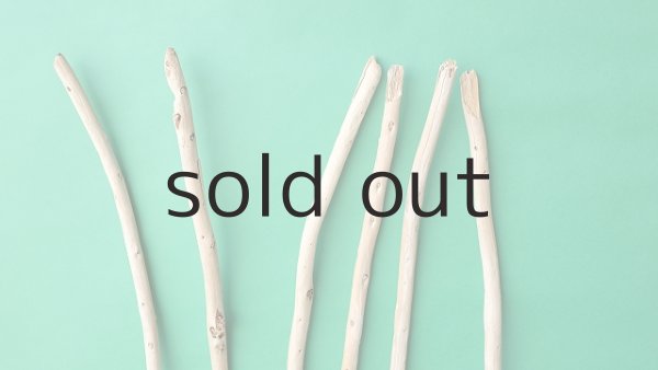 画像4: 棒流木セット (4)