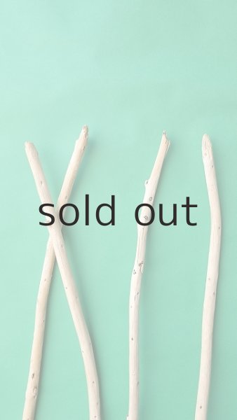 画像5: 棒流木セット (5)