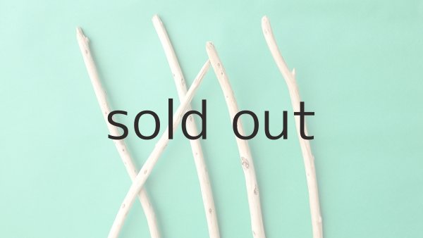 画像4: 棒流木セット (4)