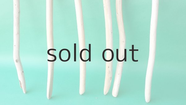 画像2: 棒流木セット (2)