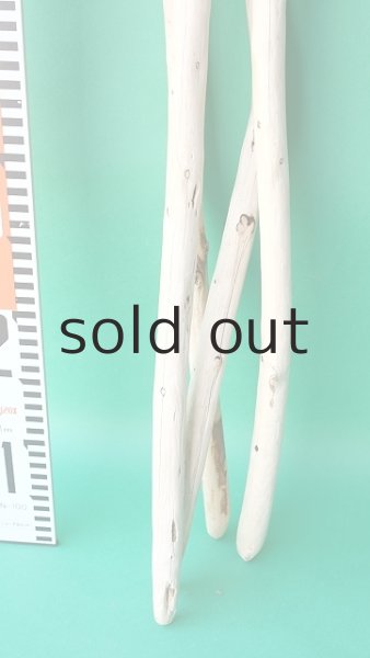 画像6: 棒流木セット (6)