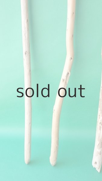 画像2: 棒流木セット (2)